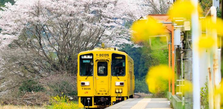 JR Pass Ausflug aufs Land Bahn Japan Japan Rail Pass Landpartie