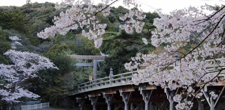 Brücke zum Ise jingu