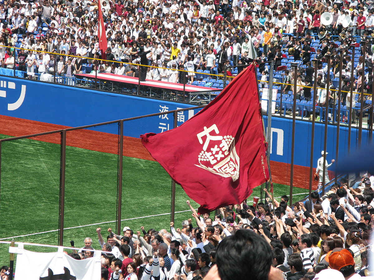 Waseda Flagge