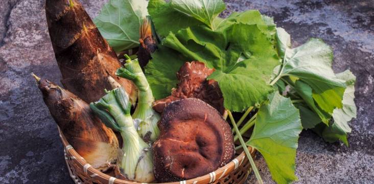 Japans Frühlingszutaten im Korb