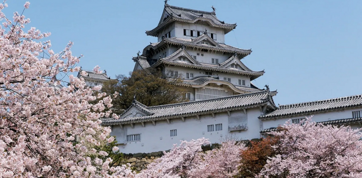 Die berühmte Burg Himeji im Frühling.