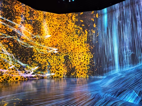 TeamLab Borderless: Die Top 6 Räume | JAPANDIGEST