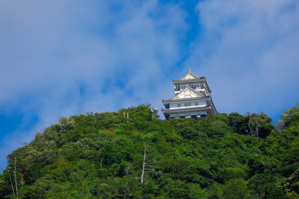 Die Burg Gifu