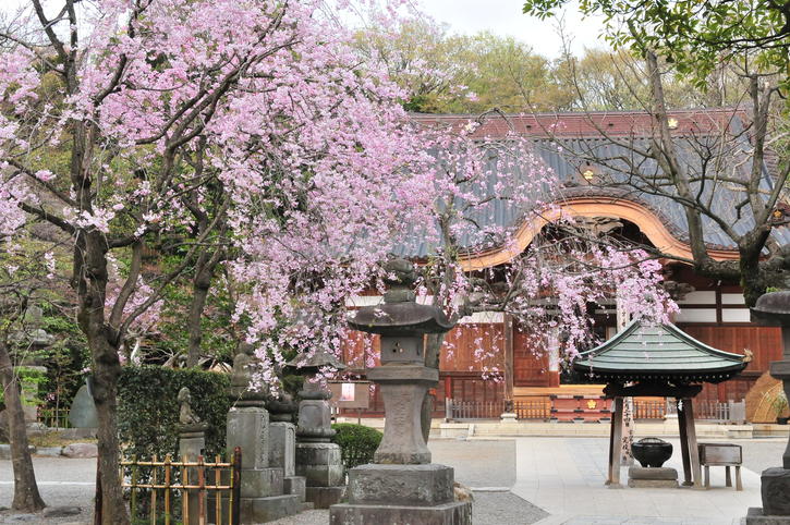 Jindaiji-Tempel